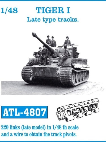 Tiger late type friul - type,
