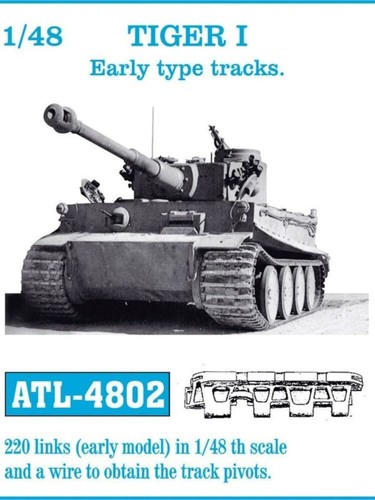 Tiger early type - tiger, friul